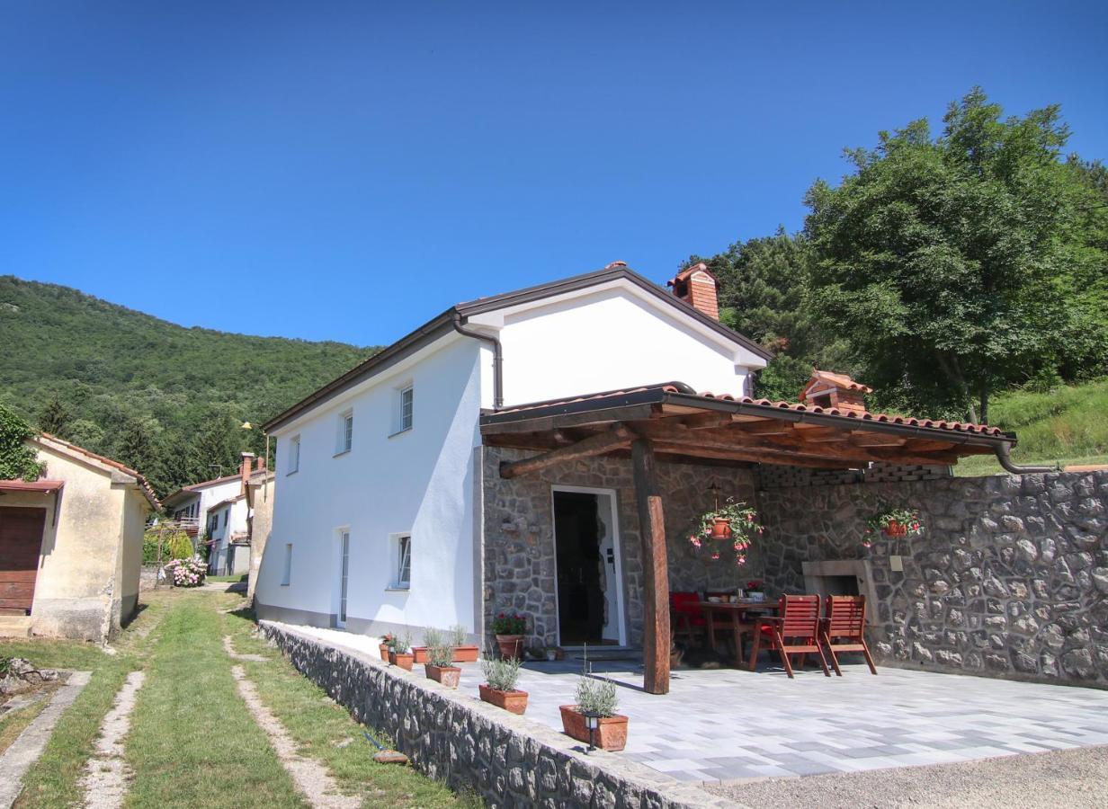 Guest House 'Villa Fani' Veprinac With Jacuzzi المظهر الخارجي الصورة