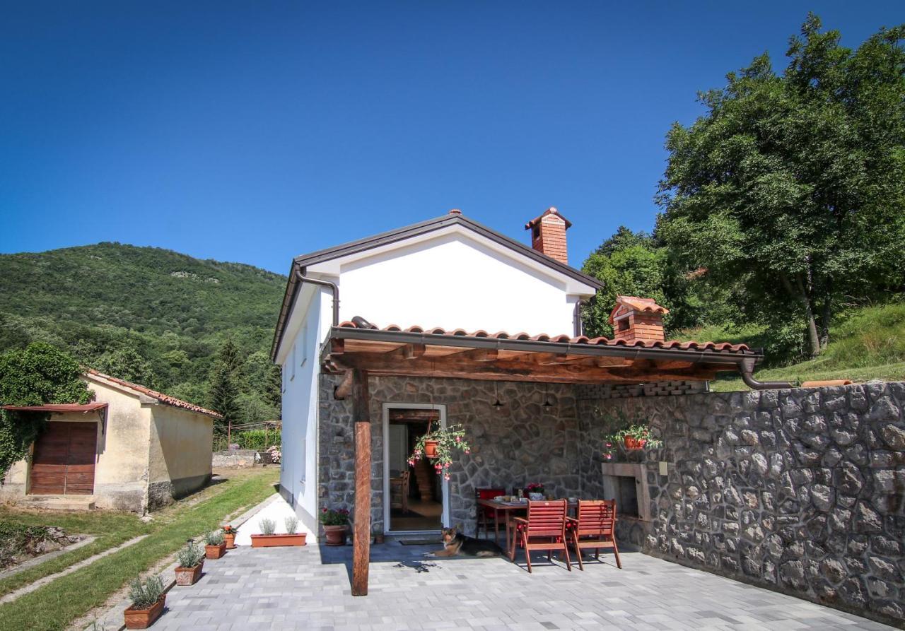 Guest House 'Villa Fani' Veprinac With Jacuzzi المظهر الخارجي الصورة