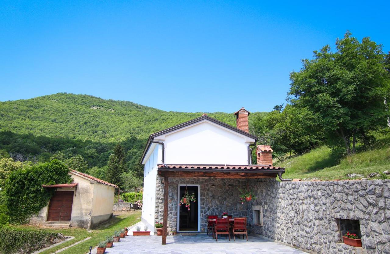 Guest House 'Villa Fani' Veprinac With Jacuzzi المظهر الخارجي الصورة